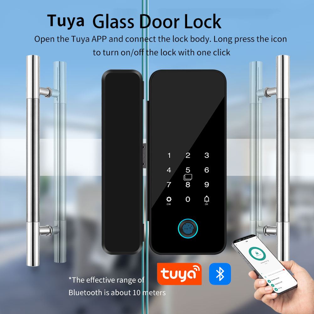 Glass Door Hinge - B16 Tuya APP Bluetooth Glass Door
