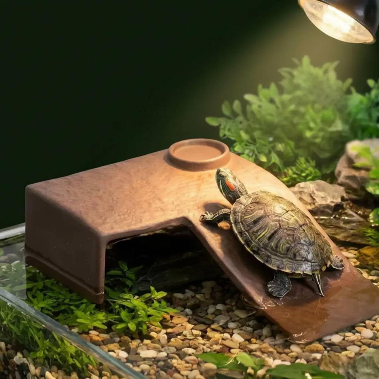 2 Pieces Turtle Basking Dock E - Hide Cave Ceramic avis et prix