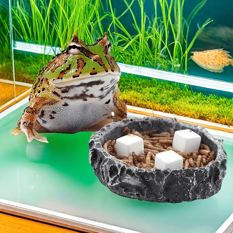 6Pcs For Reptile Grinding Tort - Calcium Powder Reptile avis et prix