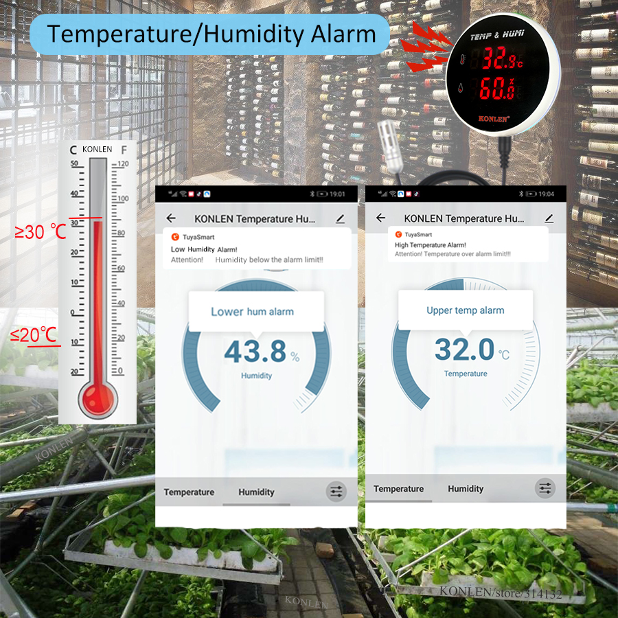 Tuya WIFI Temperature Humidity - Digital Hygrometer Probe avis et prix