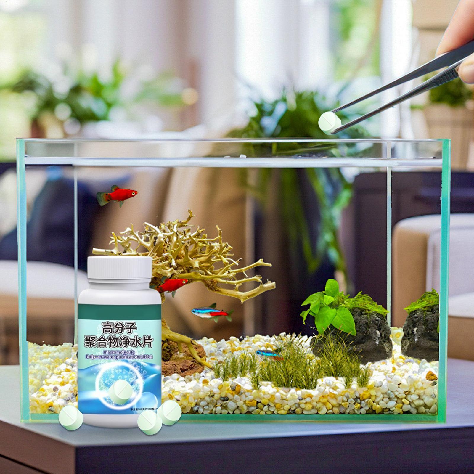 Fish Can Algae Remover Aquariu - Water Dish Reptile avis et prix