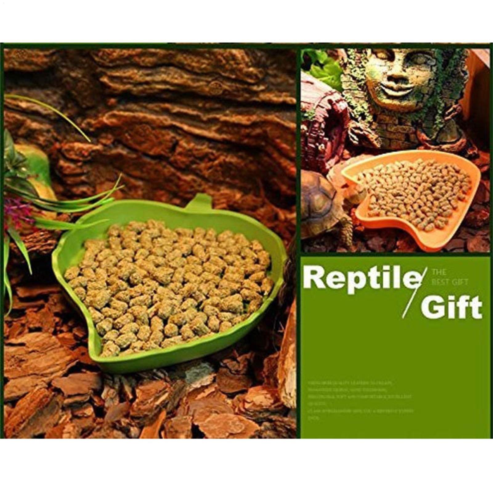 Turtle Feeding Bowl Reptile Fe - Water Dish Reptile avis et prix
