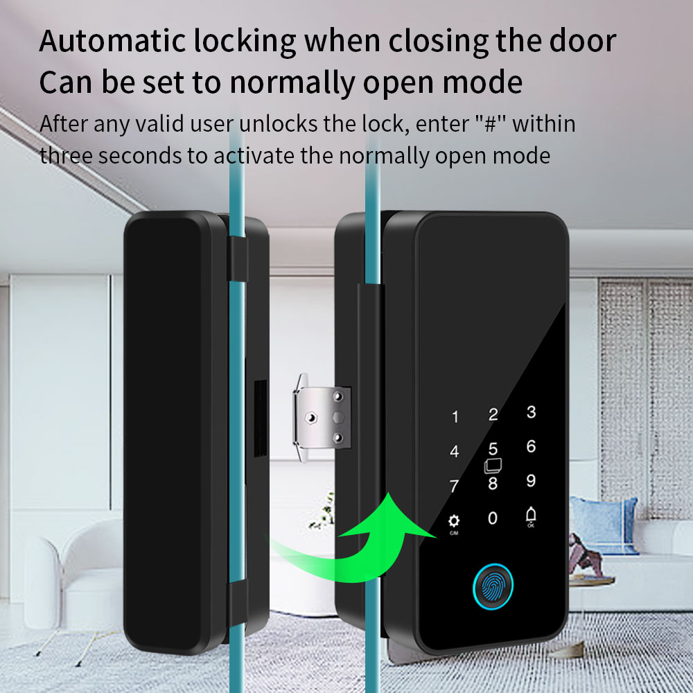 B16 Tuya APP Bluetooth Glass D - Glass Door Hinge avis et prix