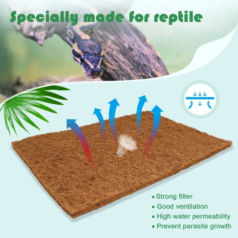 Pack Of 4 Natural Coconut Fibe - Substrate Coconut Fiber avis et prix
