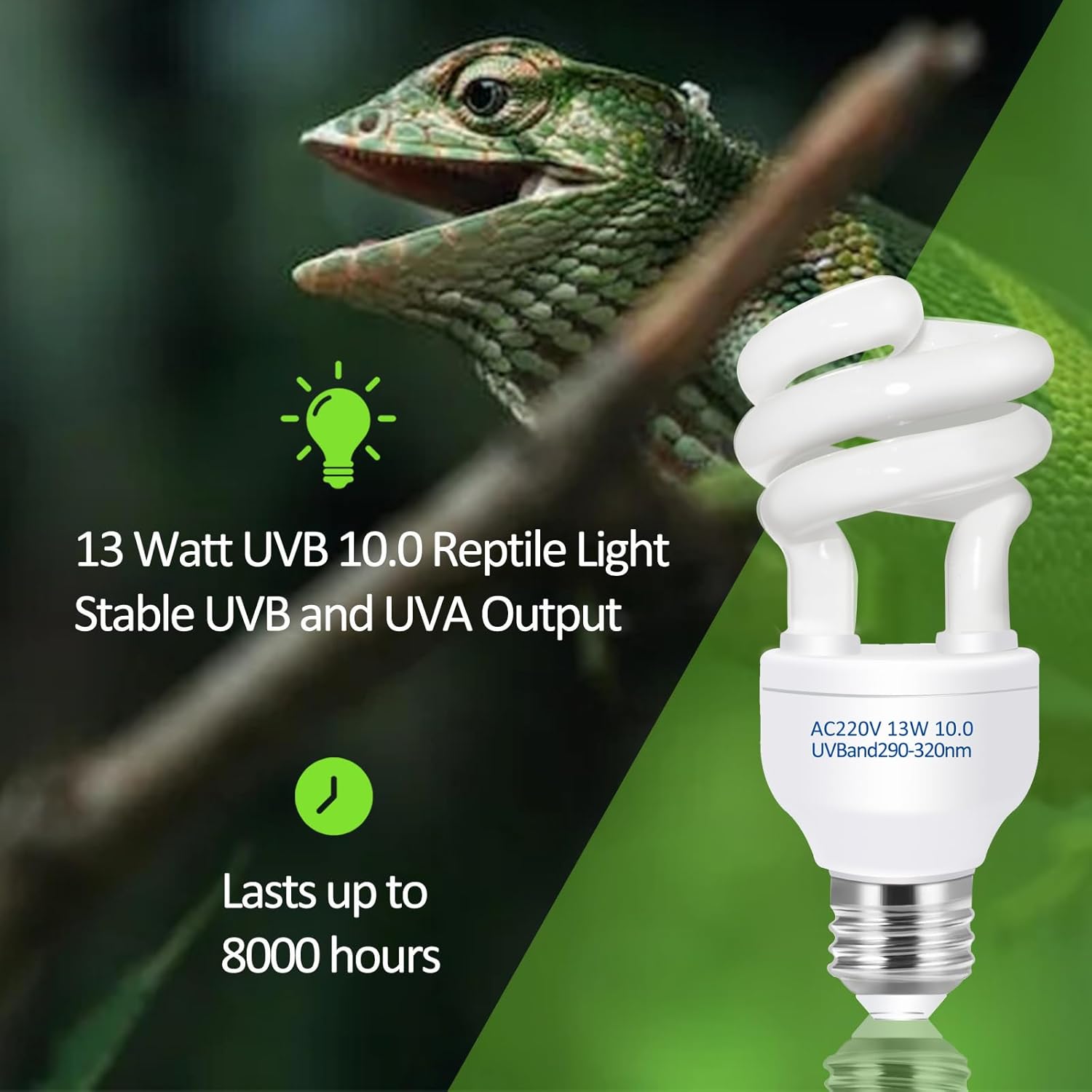 UVB 5.0 10.0 Reptile Heating L - Calcium Powder Reptile avis et prix