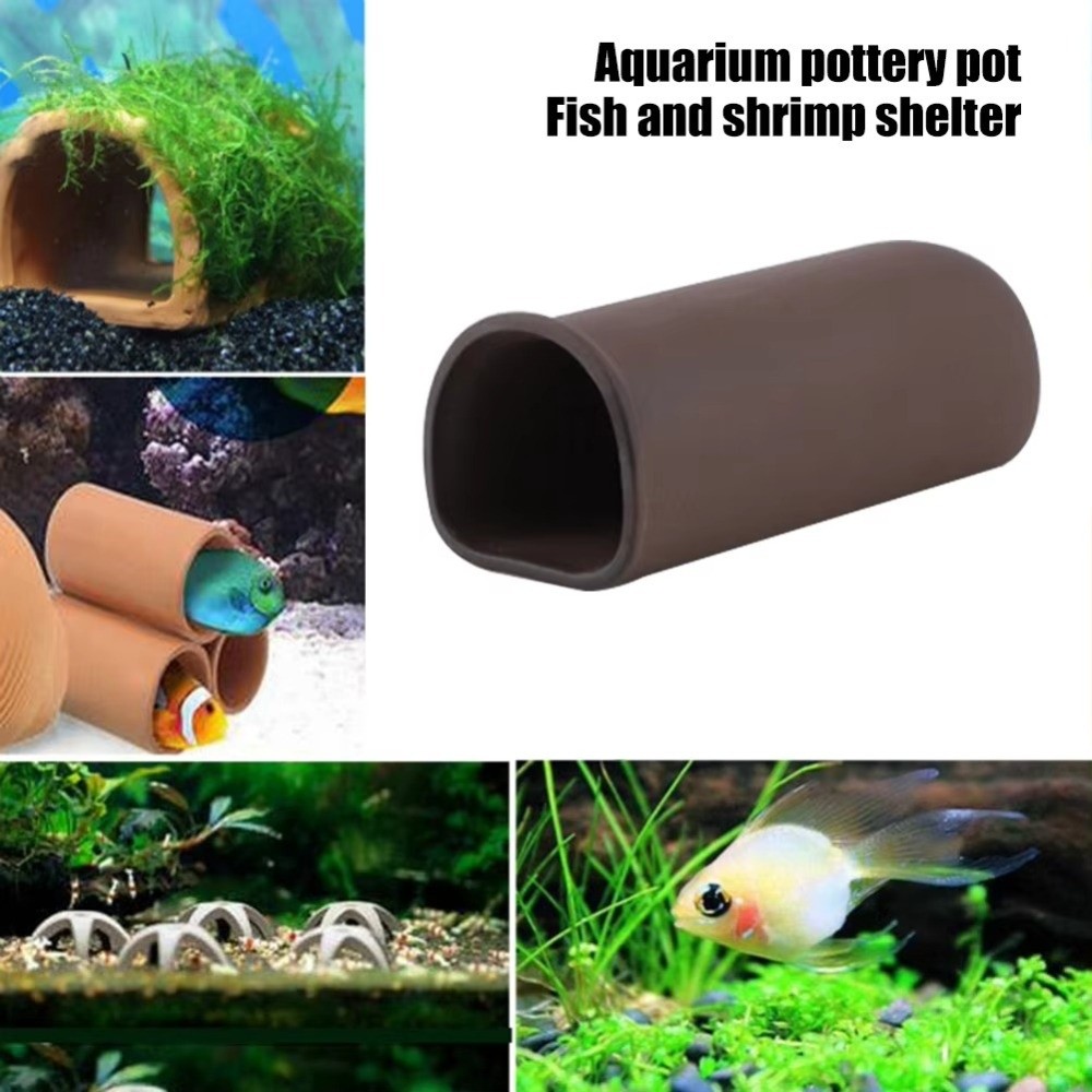 Playing Breeding Spawning Aqua - Hide Cave Ceramic avis et prix