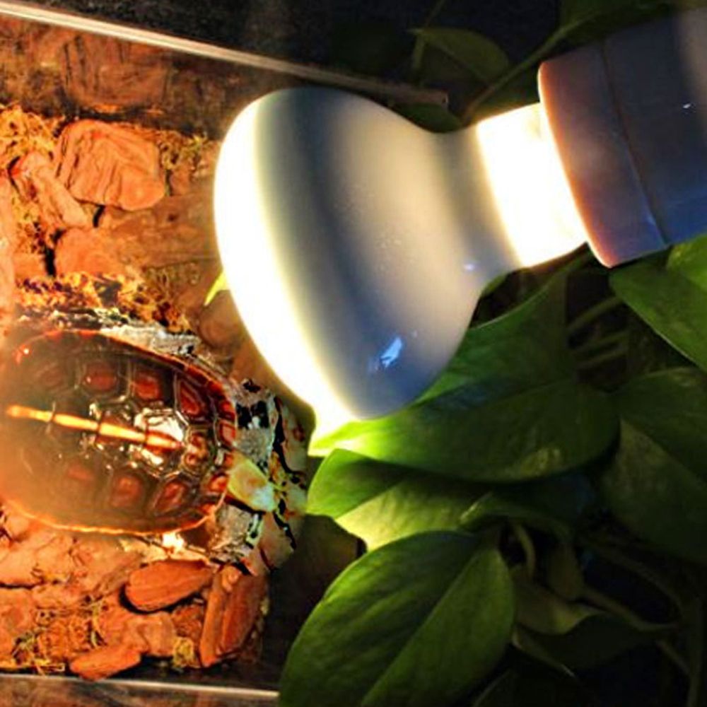 Lizard Heater Temperature Cont - Basking Bulb Halogen avis et prix