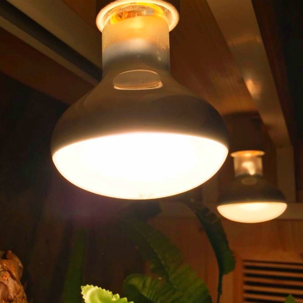 Lizard Heater Temperature Cont - Basking Bulb Halogen avis et prix