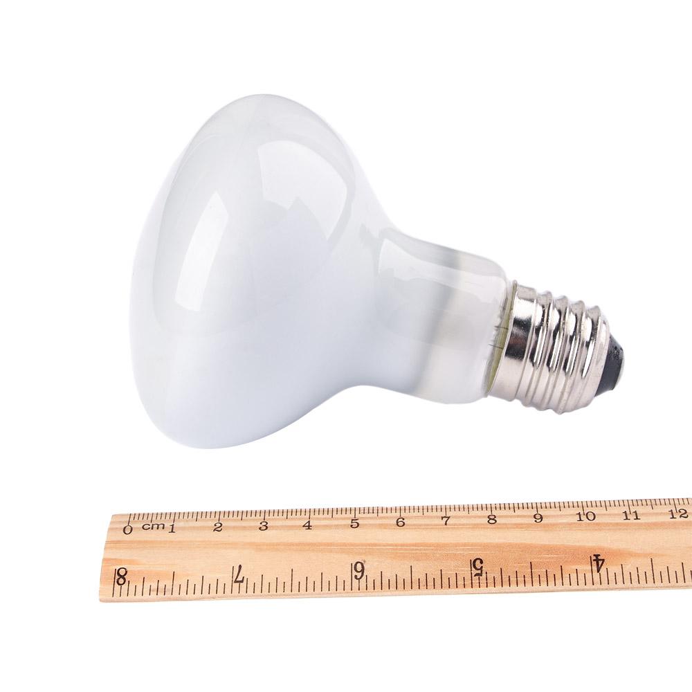 Lizard Heater Temperature Cont - Basking Bulb Halogen avis et prix