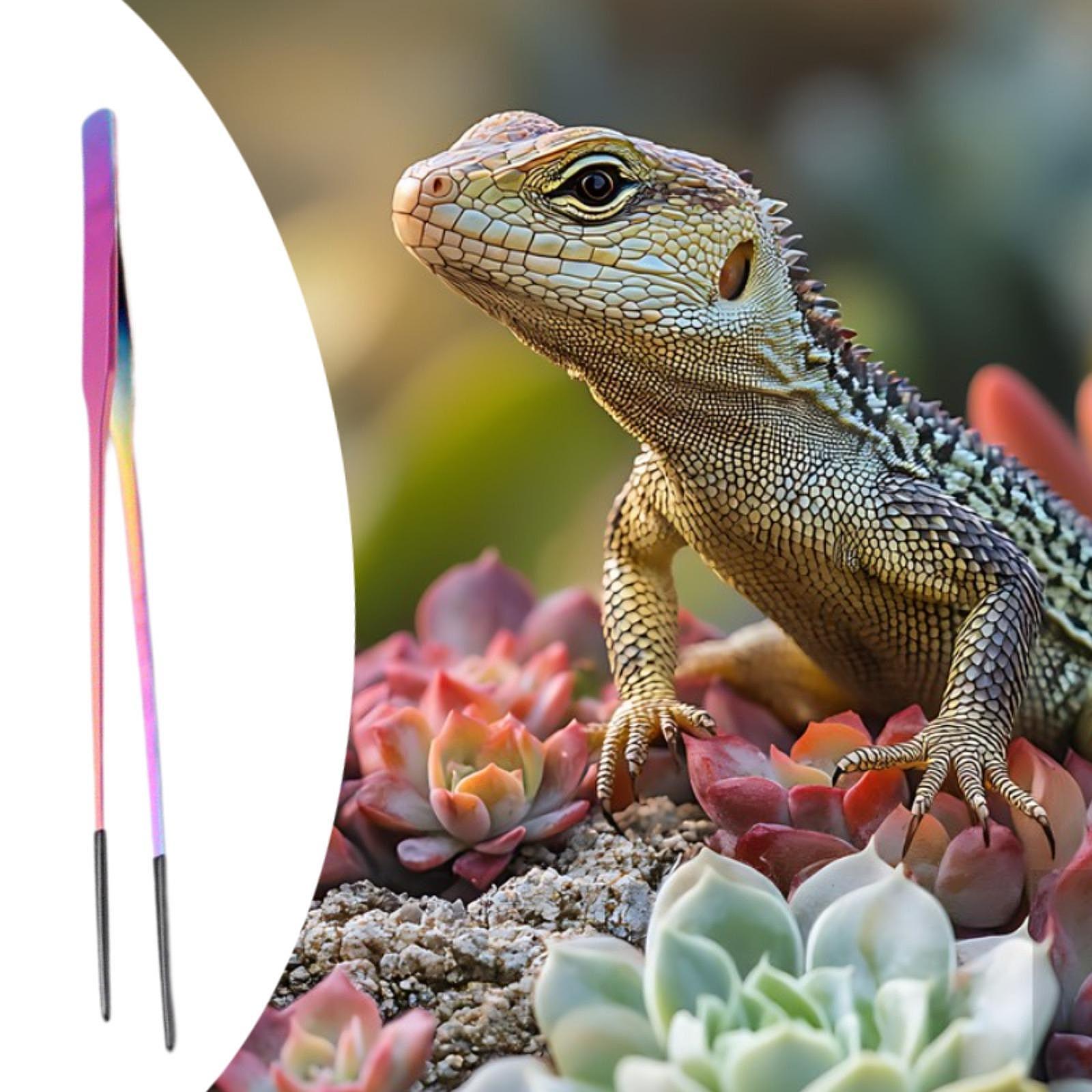 Terrarium Reptile Feeder Tongs - Feeding Tong Stainless avis et prix