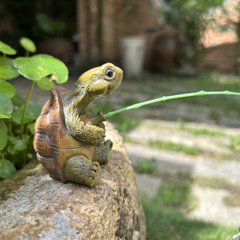 Turtle fishing fish tank aquar - Water Dish Reptile avis et prix