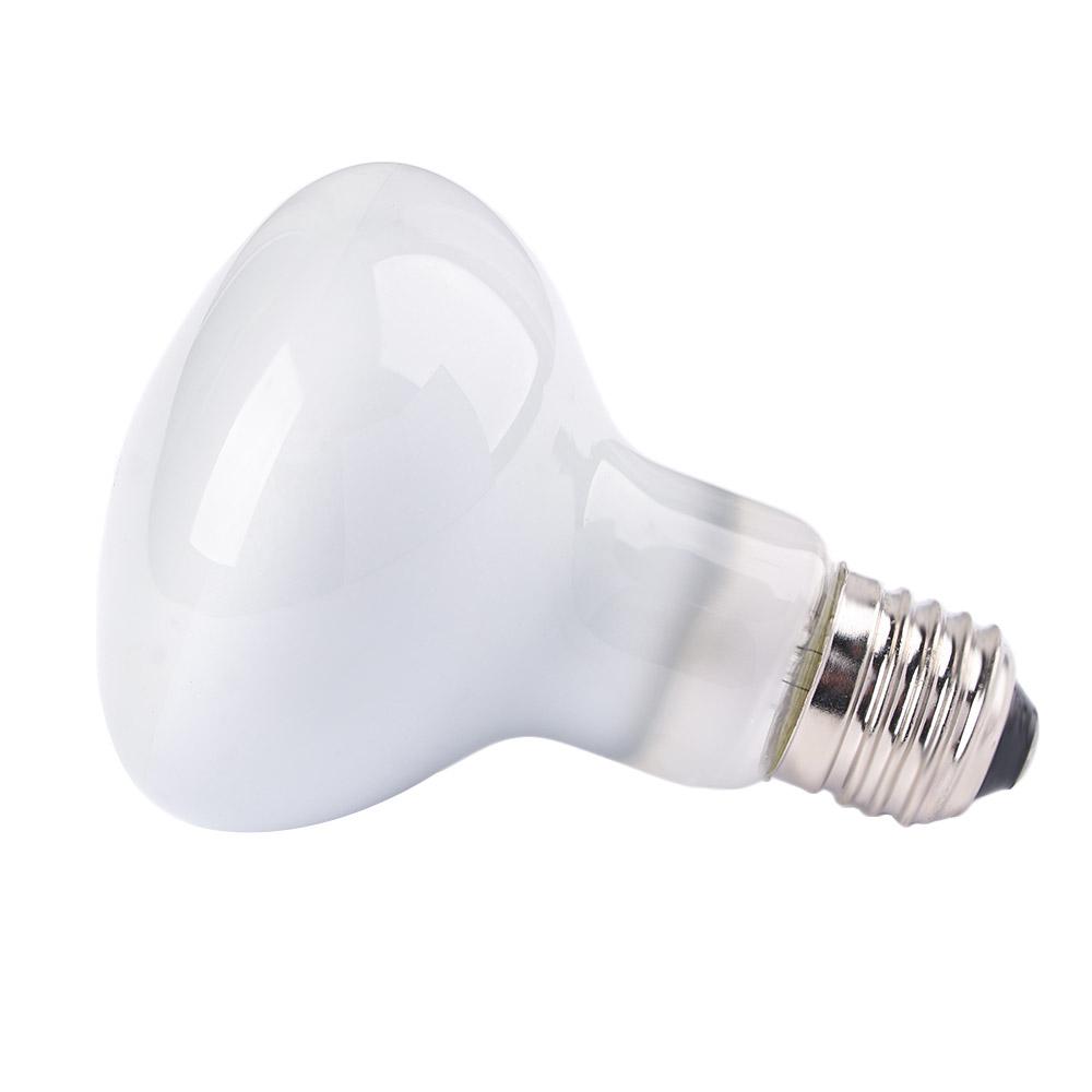 Lizard Temperature Controller  - Basking Bulb Halogen avis et prix