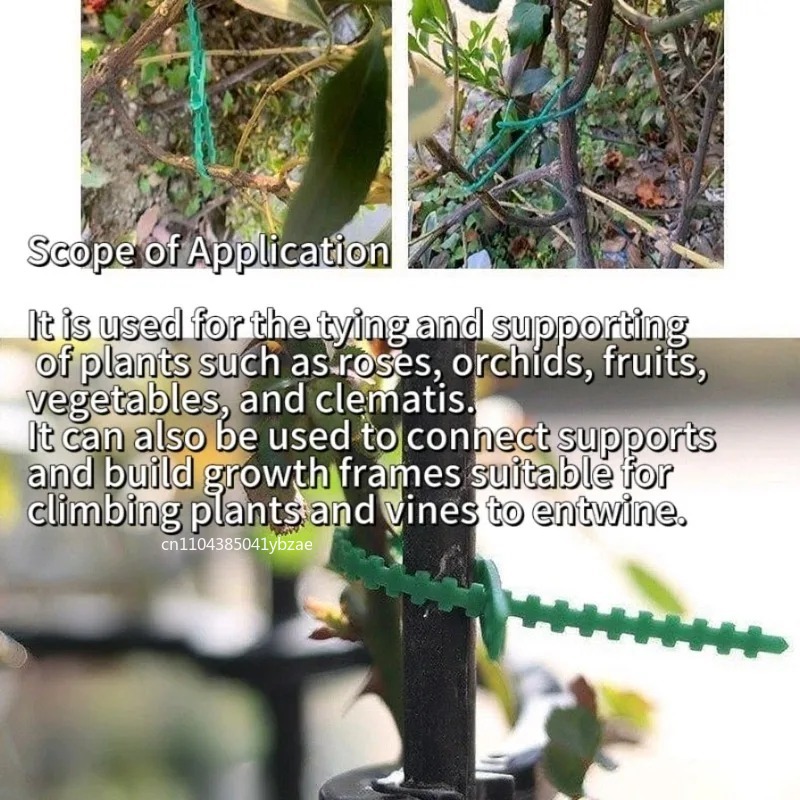 50-1000pcs Adjustable Plastic  - Vine Climbing Plastic avis et prix