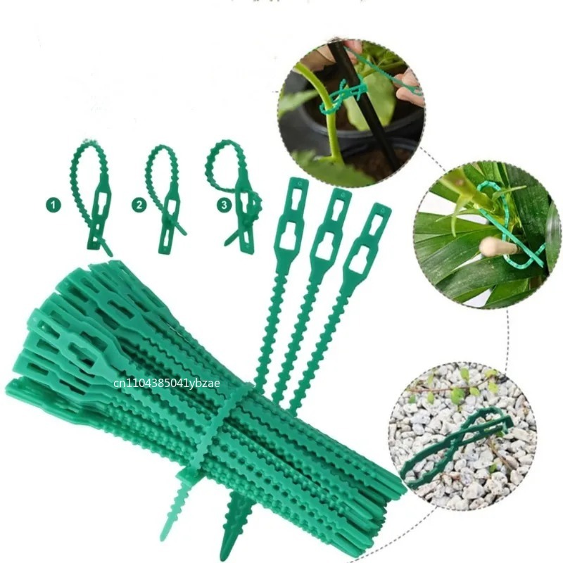 50-1000pcs Adjustable Plastic  - Vine Climbing Plastic avis et prix