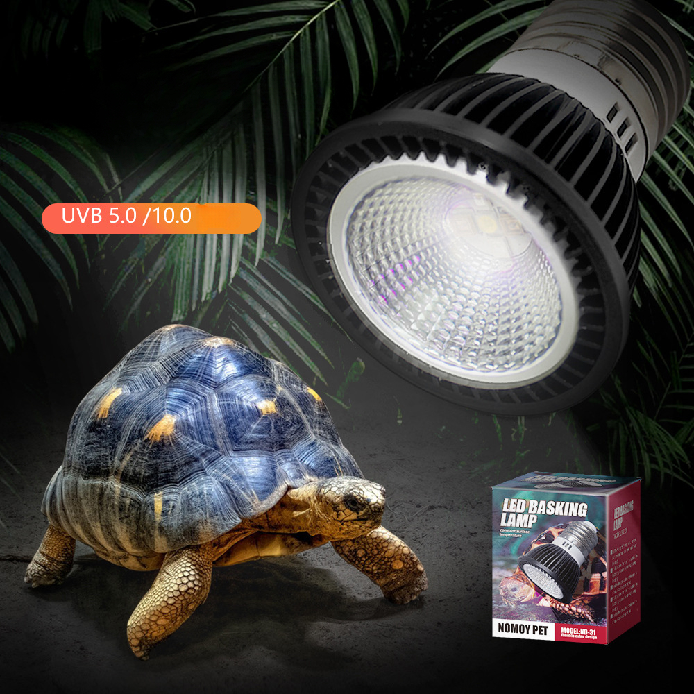 Reptile 110/220V UVB+UVA Light - Calcium Powder Reptile avis et prix