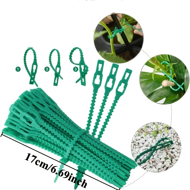 100PCS reusable adjustable pla - Vine Climbing Plastic avis et prix