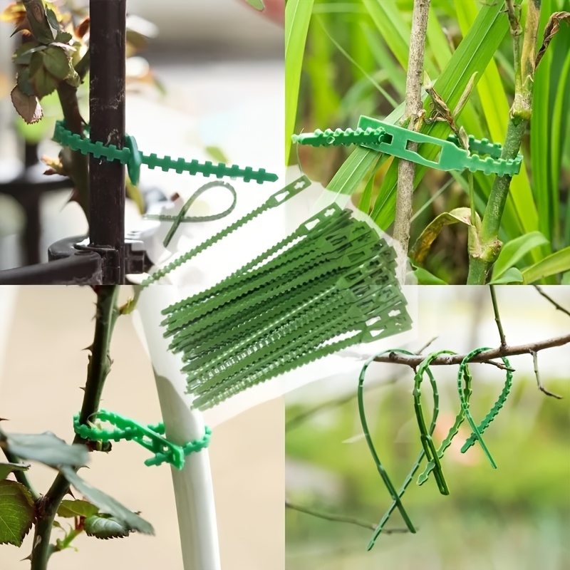 100PCS reusable adjustable pla - Vine Climbing Plastic avis et prix