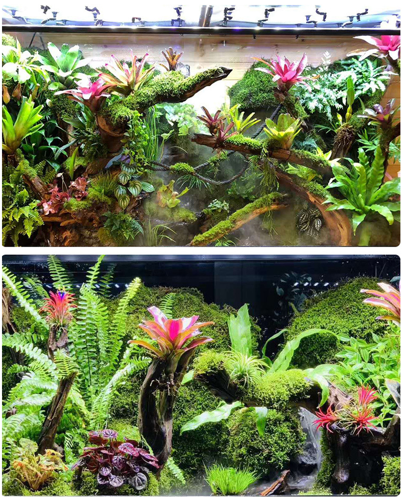 MINI Adjustable Reptile Fogger - Misting Nozzle Reptile avis et prix