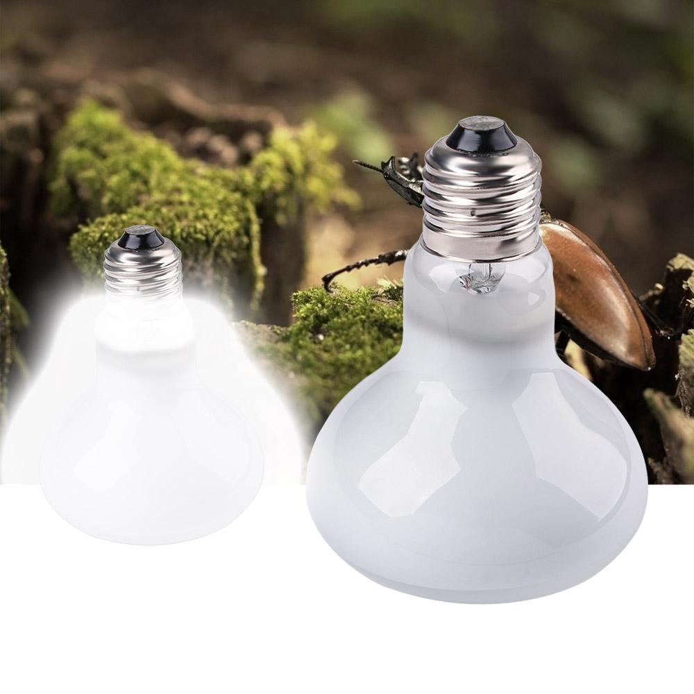 Amphibians Heater Temperature  - Basking Bulb Halogen avis et prix