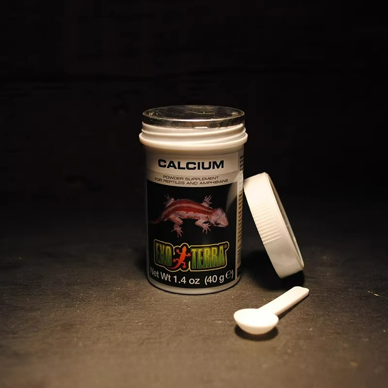 HAGEN Reptile Calcium Powder W - Vitamin D3 Reptile avis et prix