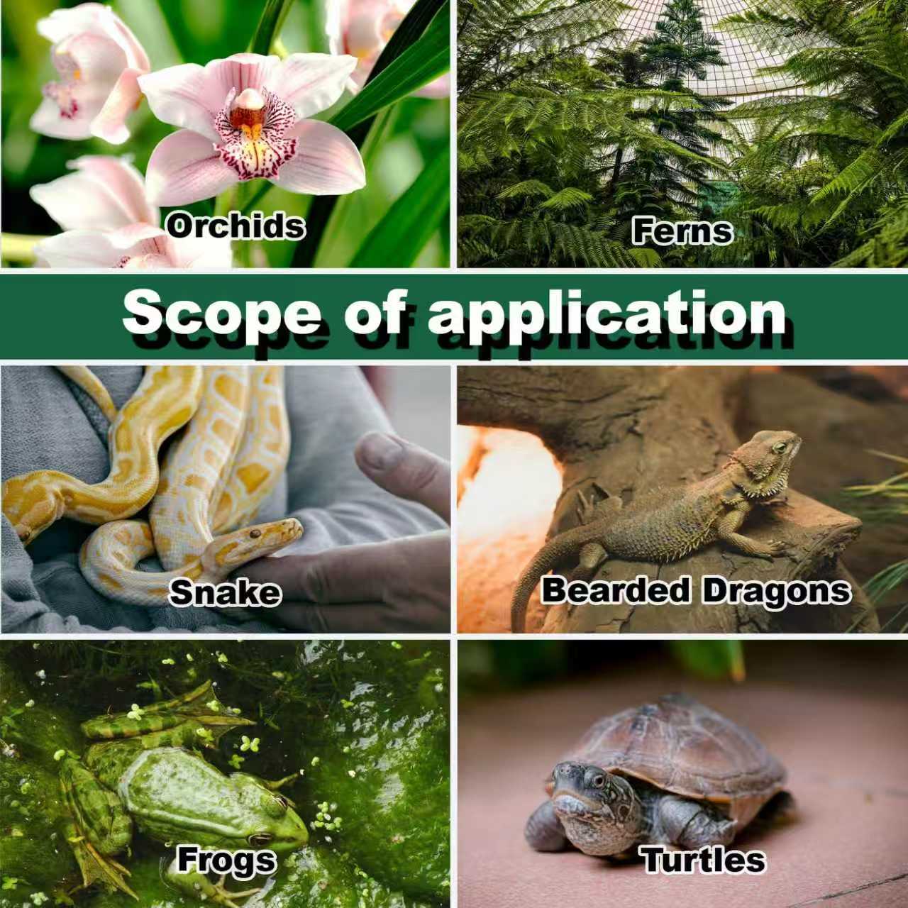 Reptile Humidifier Terrarium F - Terrarium Fogger Ultrasonic avis et prix