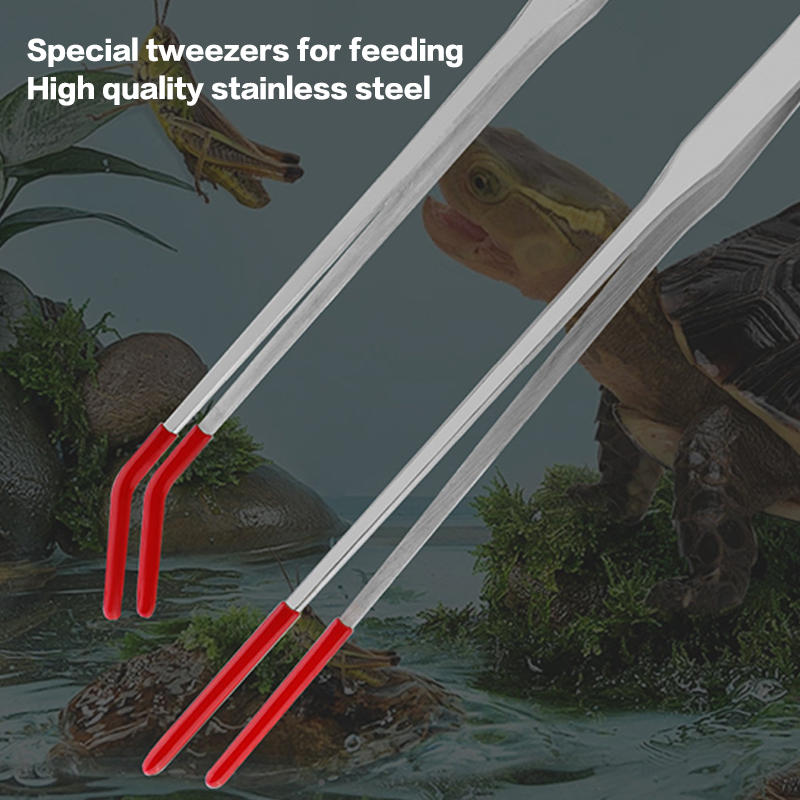 Stainless Steel Fish Tank Main - Feeding Tong Stainless avis et prix