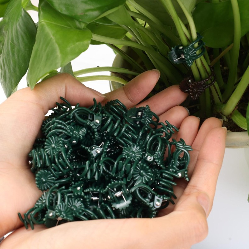 Wholesale Mini Plant Support C - Vine Climbing Plastic avis et prix