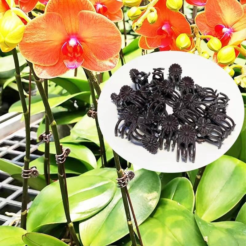 Wholesale Mini Plant Support C - Vine Climbing Plastic avis et prix
