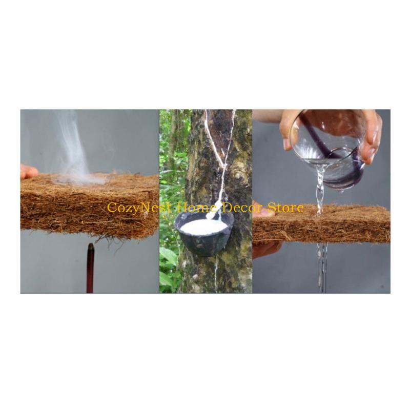 92MF Terrariums Substrate Line - Substrate Coconut Fiber avis et prix