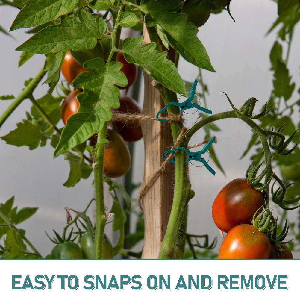 50Pcs Tomato Stem Support Clip - Vine Climbing Plastic avis et prix