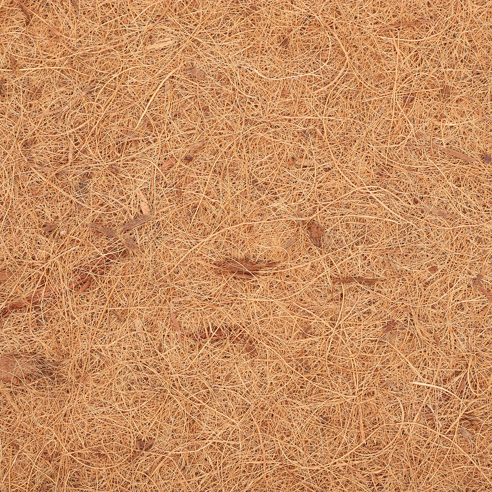 Coconut Fiber Reptile Carpet M - Substrate Coconut Fiber avis et prix