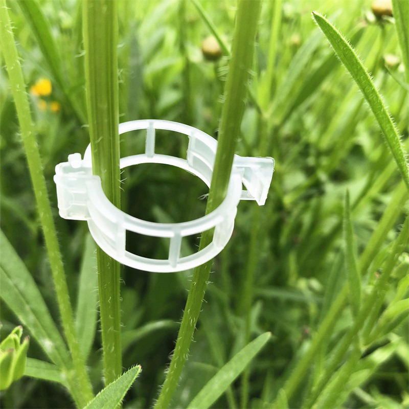 100pcs Clear Plastic Plant Cli - Vine Climbing Plastic avis et prix