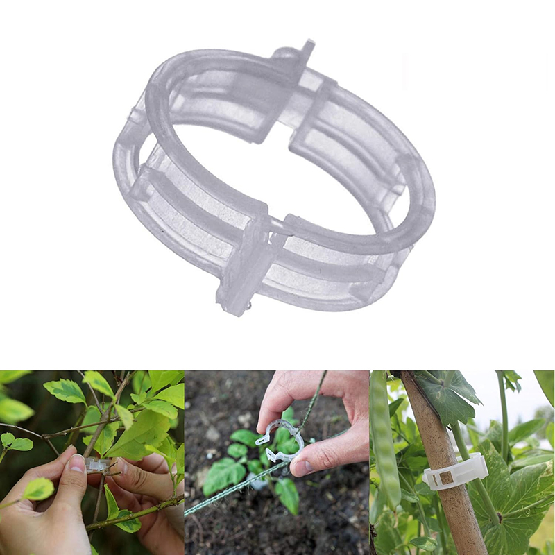 100pcs Clear Plastic Plant Cli - Vine Climbing Plastic avis et prix