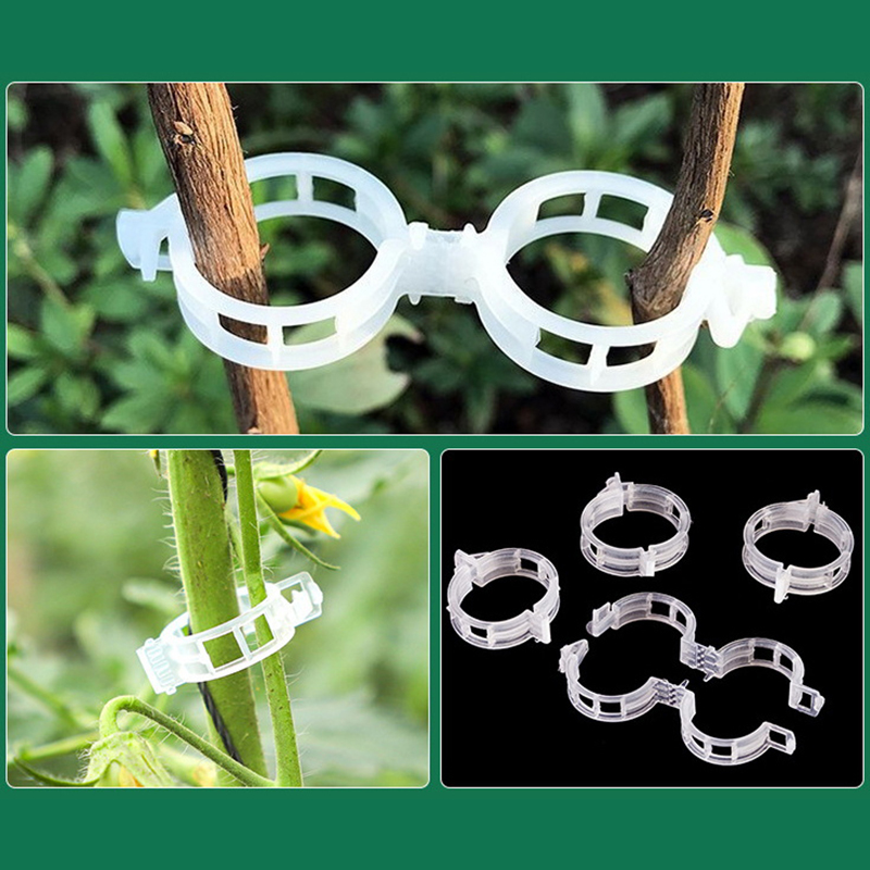 100pcs Clear Plastic Plant Cli - Vine Climbing Plastic avis et prix