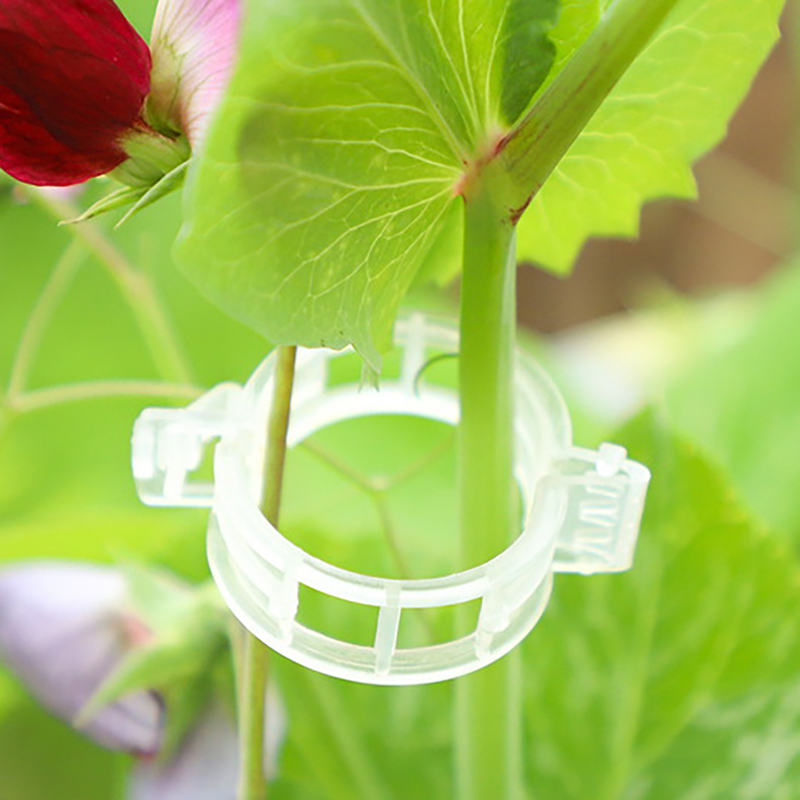 100pcs Clear Plastic Plant Cli - Vine Climbing Plastic avis et prix