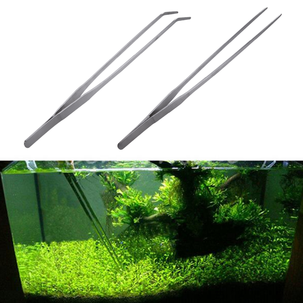 10.5 Inch Reptile Feeding Tong - Feeding Tong Stainless avis et prix