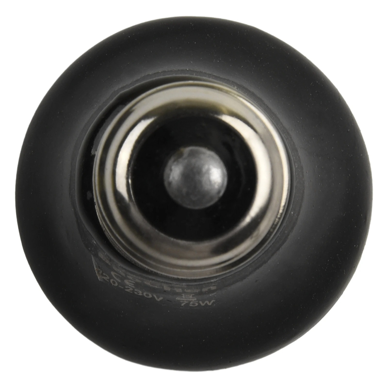 Pet Ceramic Infrared Heat Lamp - Ceramic Heat Emitter avis et prix