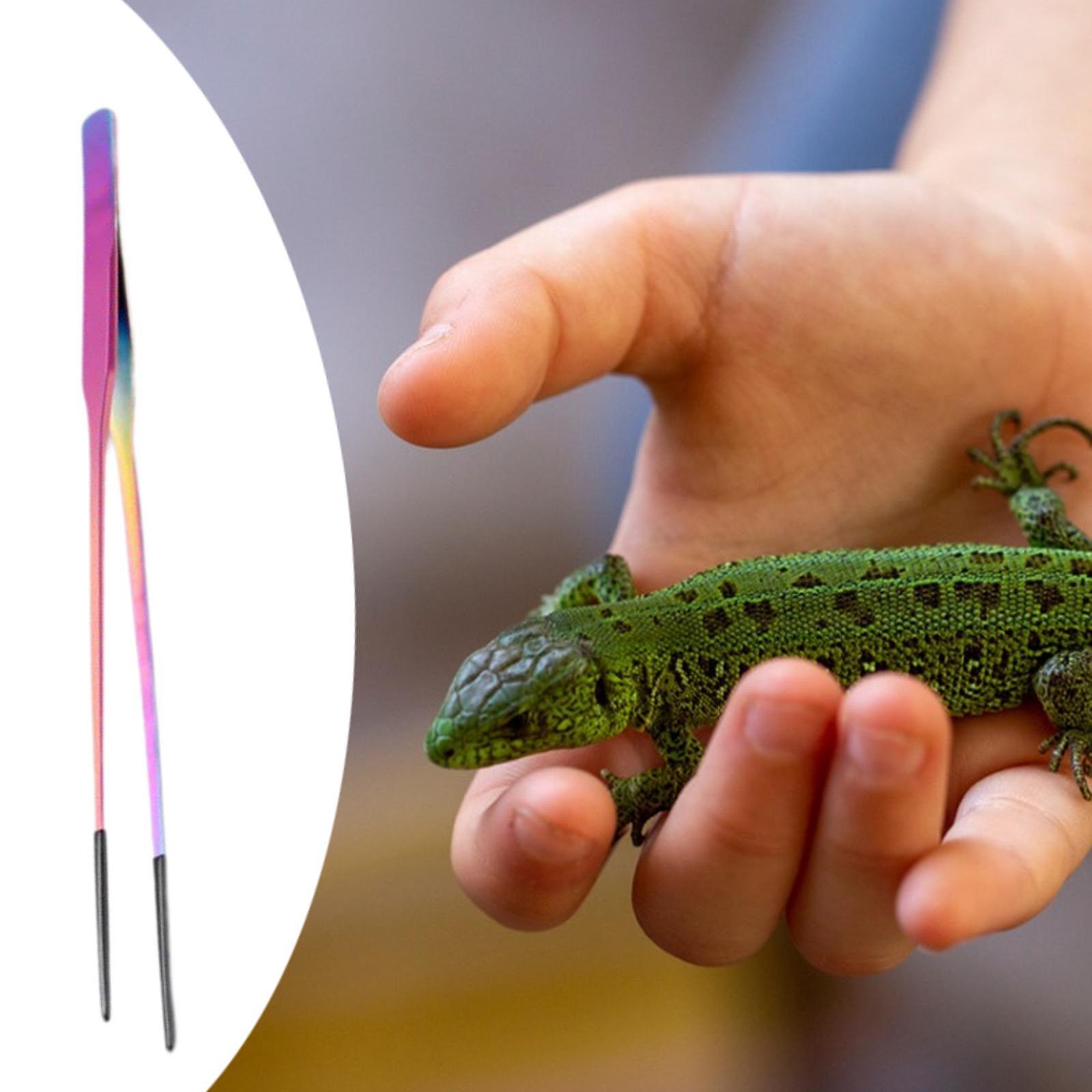Aquarium Tweezers Reptile Feed - Feeding Tong Stainless avis et prix