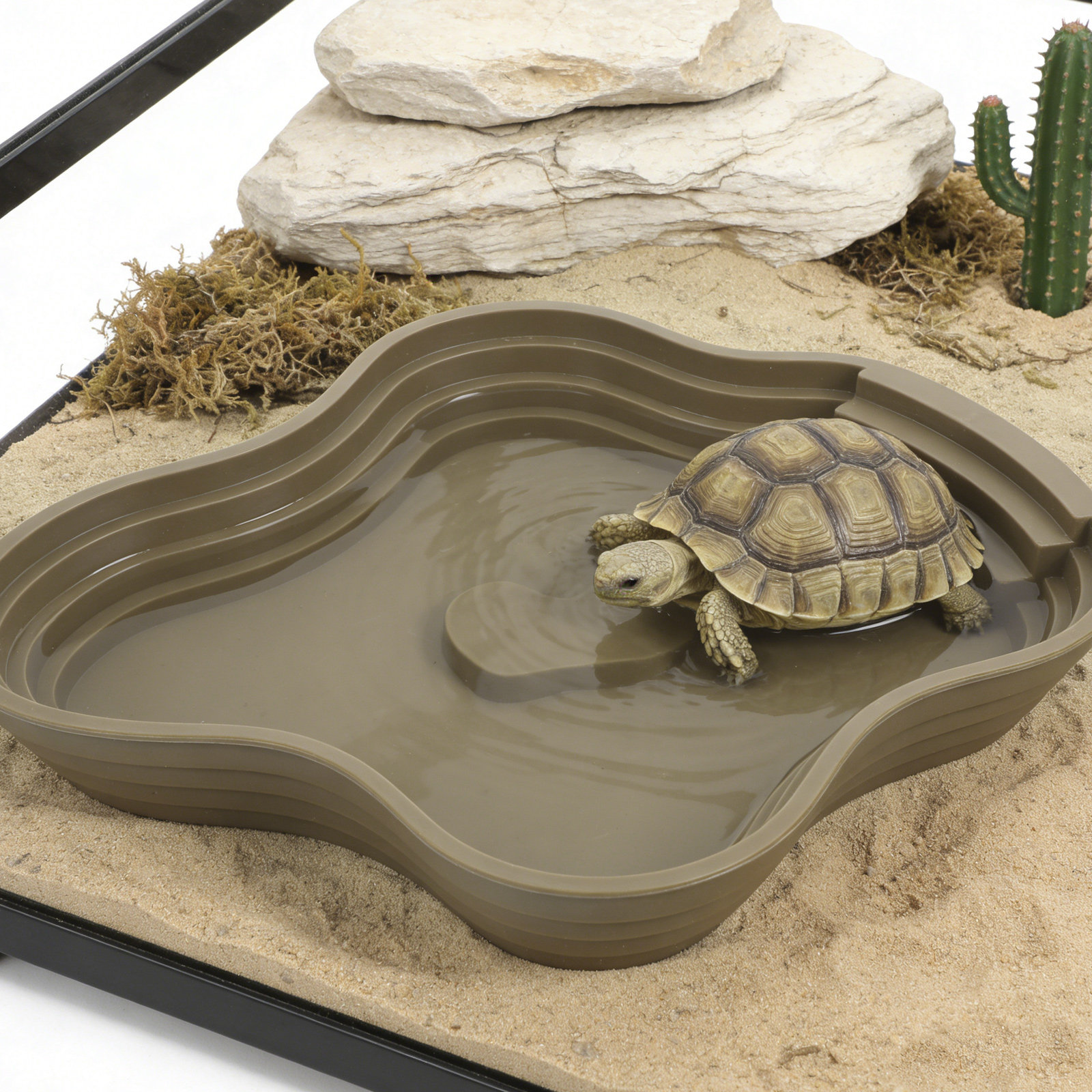 Large Turtle Reptile Bathing P - Water Dish Reptile avis et prix