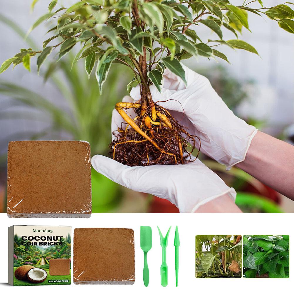 Coconut Coir Fiber Brick - Org - Substrate Coconut Fiber avis et prix