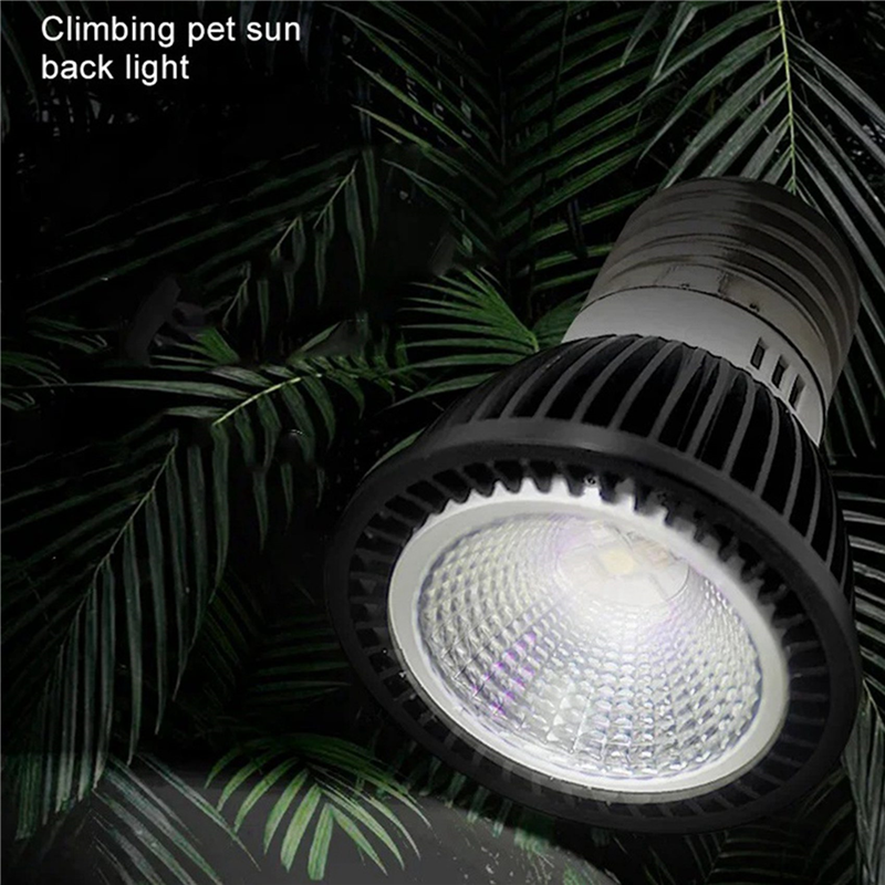 A03F-5X 110V Reptile UVB Light - Calcium Powder Reptile avis et prix