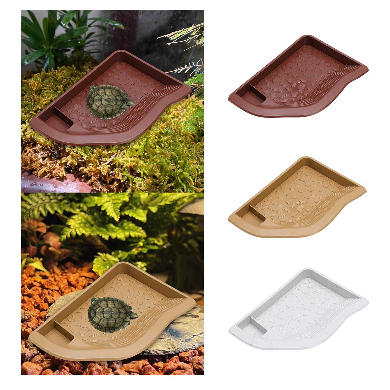 Reptile Pool Water Dish, Torto - Water Dish Reptile avis et prix