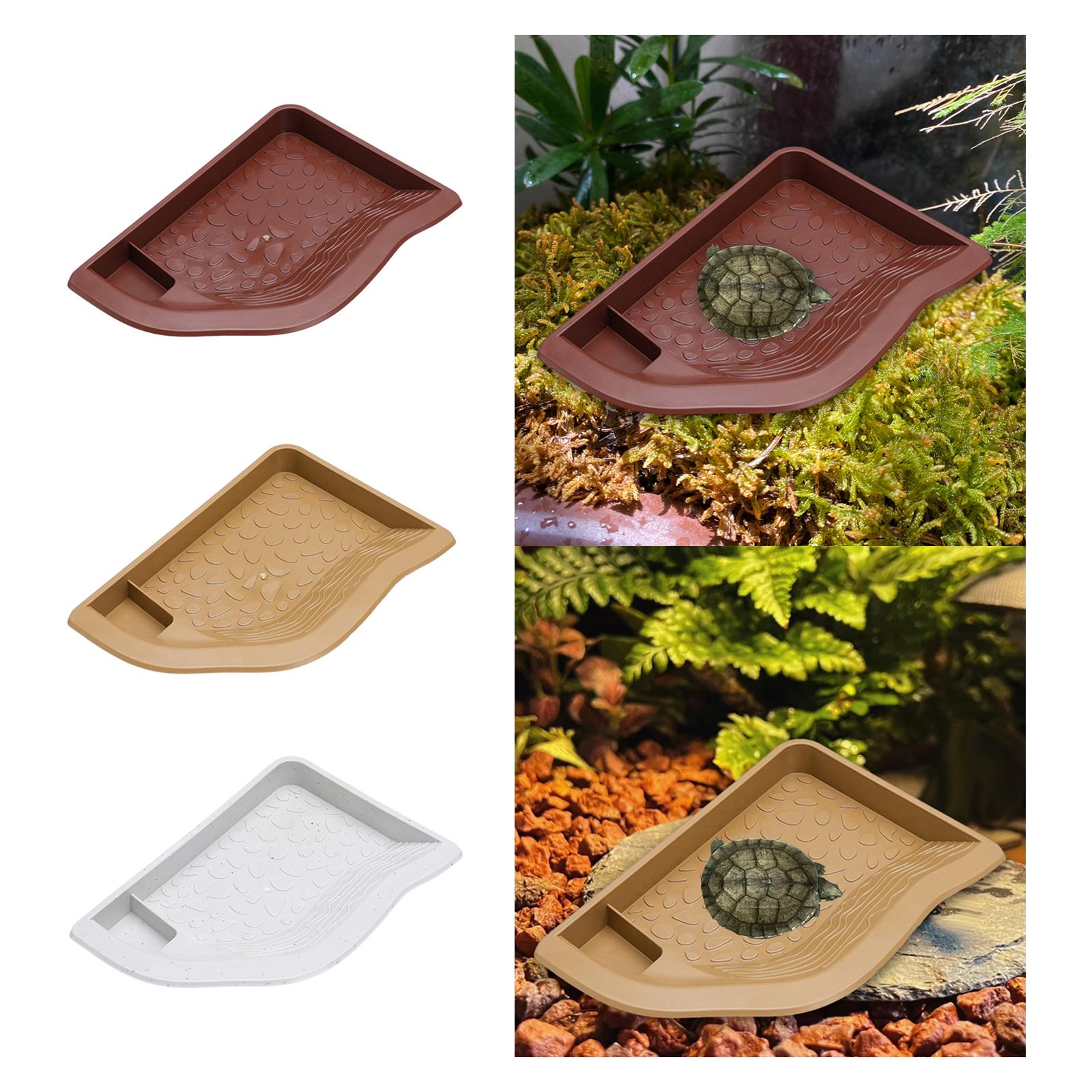 Reptile Pool Water Dish, Torto - Water Dish Reptile avis et prix