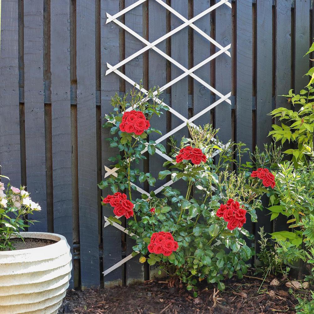 Expandable Garden Trellis 70 x - Vine Climbing Plastic avis et prix