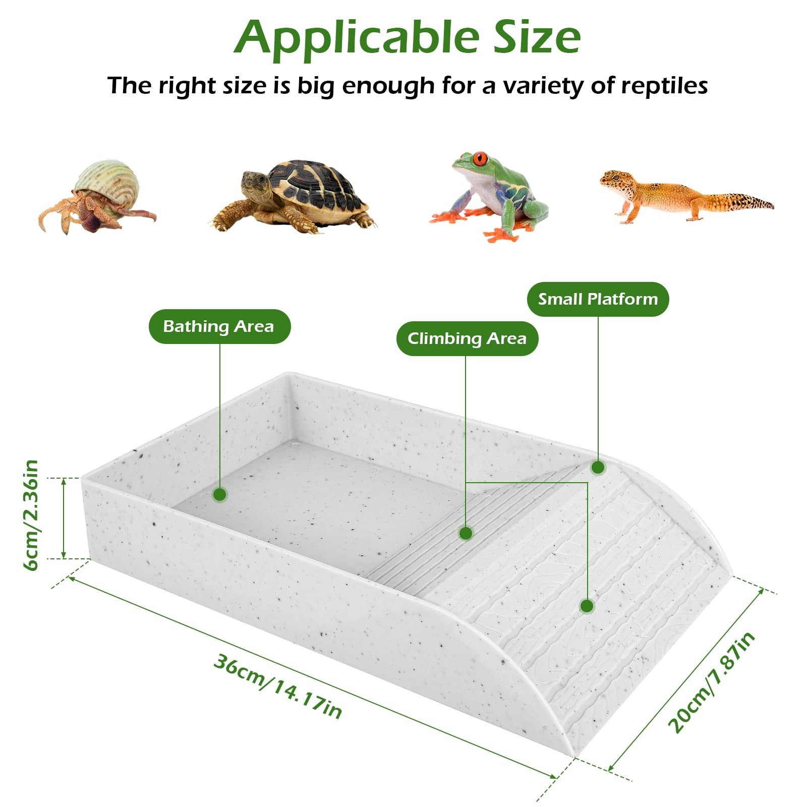 Anti Slip Tortoise Bath Dish T - Water Dish Reptile avis et prix
