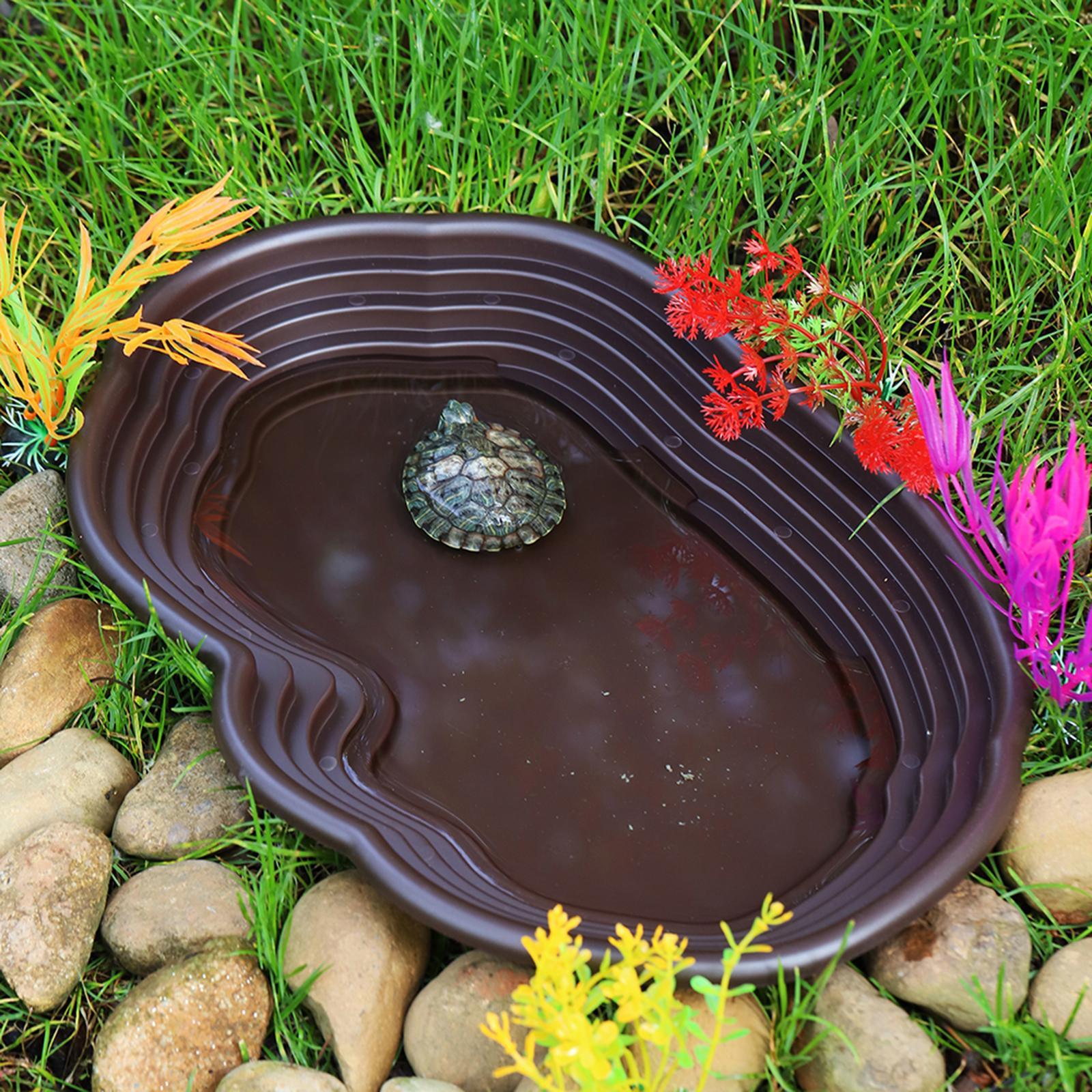 Reptile Bathing Dish Tortoise  - Water Dish Reptile avis et prix