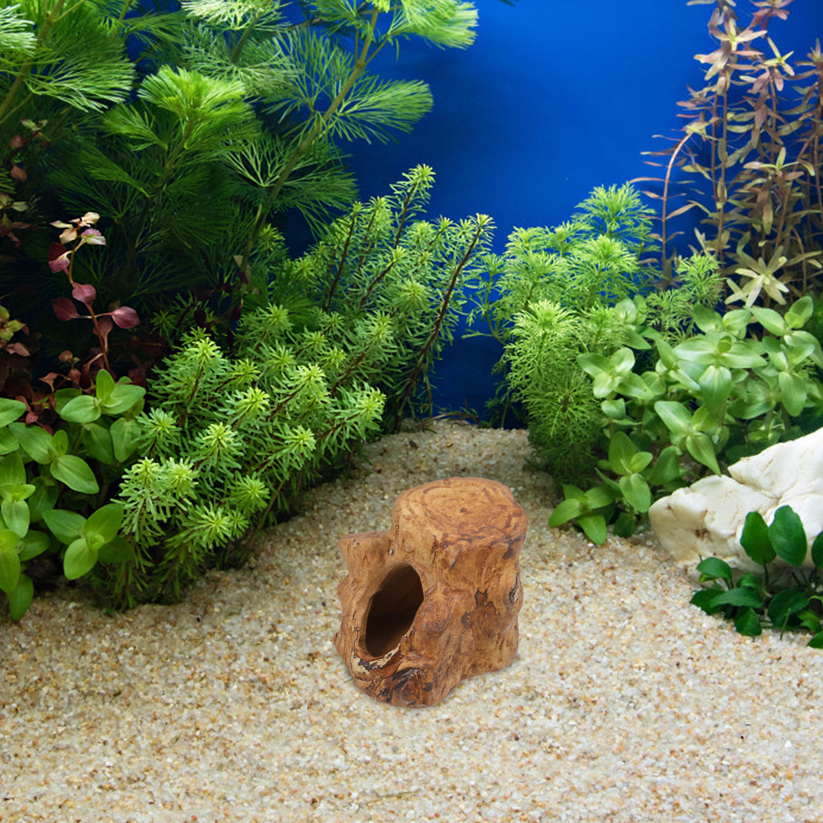 Pleco Caves for Aquarium Fish  - Hide Cave Ceramic avis et prix