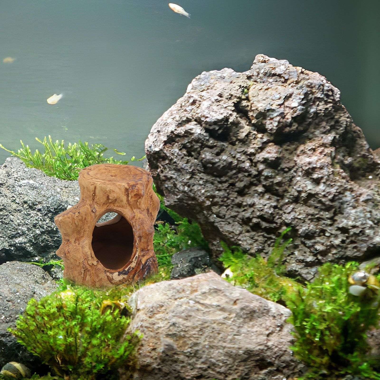 Pleco Caves for Aquarium Fish  - Hide Cave Ceramic avis et prix