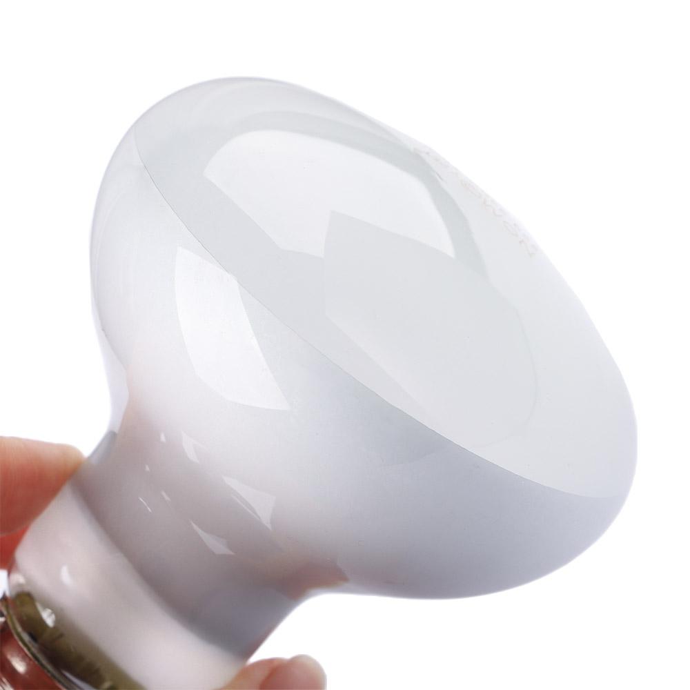Amphibians Heater Heat Lamp UV - Basking Bulb Halogen avis et prix