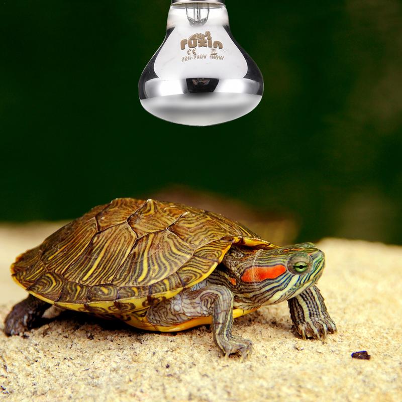 Pet Heating Lamp E27 Day Night - Ceramic Heat Emitter avis et prix